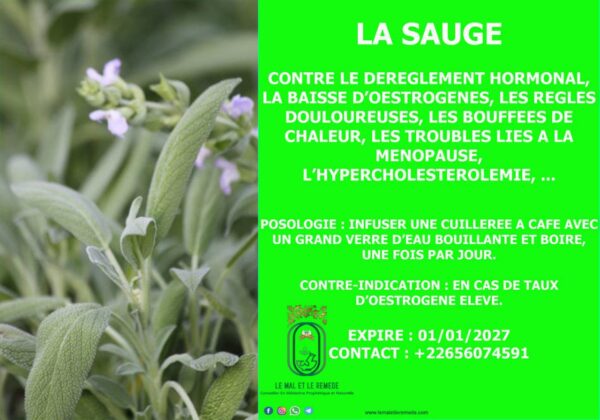 Image du produit